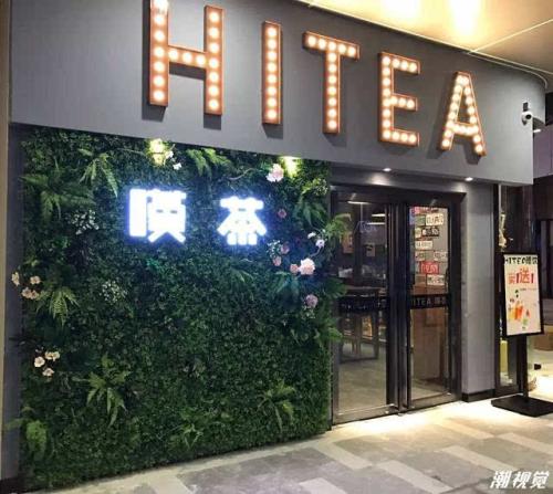 九球直播
